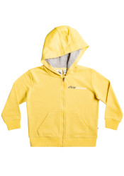 QUIKSILVER EQKFT03377-YFB0 RETRO RISKS K OTLR YFB0