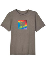 Fox Yth Scans Prem Ss Tee Heather Graphite
