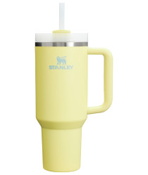 Stanley Quencher H2.O FlowState™ Tumbler 1180 ml – Pomelo