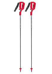 Van Deer Race SL Carbon downhill poles