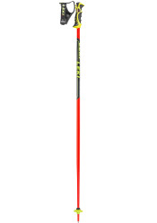 Downhill poles Leki WC SL TBS