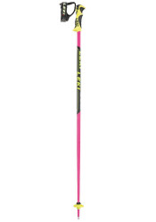 Children's downhill sticks Leki Worldcup Lite SL