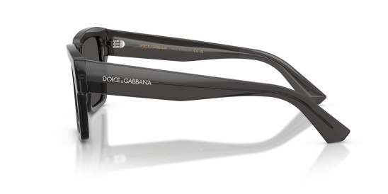 detail Dolce & Gabbana DG4431 31608755 Sunglasses – Transparent Grey / Dark Grey