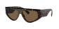 preview Dolce & Gabbana 0DG4461 502/73 – Havana / Dark Brown Sunglasses