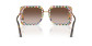 preview Dolce & Gabbana 0DG4491 32171352 Sunglasses Havana On White Barrow