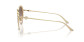 preview Jimmy Choo 0JC4003HB 30061353 Sunglasses Pale Gold–Gradient Brown