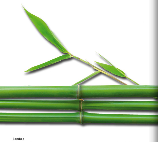 detail Bogner Ski Bamboo RK+Vázání set