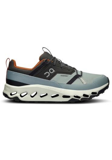 detail On Running Cloudhorizon WP, M Lead/Mineral