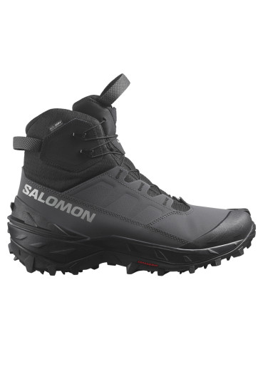 detail Men's shoes Salomon CROSSTRAK POWDER WP Asphalt/Black/Sh
