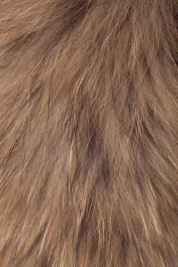 detail Genuine fur around the hood Descente natural 23