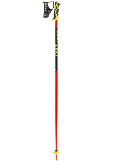 detail Downhill poles Leki WC SL TBS