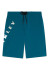 detail Oakley Cut Logo Boardshort 20 Men's Shorts