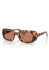 detail Miu Miu MU B13S 14L90Q52 Havana, Honey/Brown Sunglasses