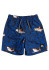 detail Quiksilver children's shorts EQKJV03156-KSH6 Sharky 12 
