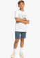 preview QUIKSILVER EQBWS03365-BYG0 KRANDYCHISHORYT B WKST BYG0
