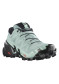 preview Salomon SPEEDCROSS 6 GTX W Aqua/Black/Yucc