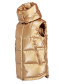 preview Goldbergh Flash Bodywarmer gold