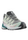 preview Women's shoes Salomon Xa Pro 3d V9 W Gull/White/Bleaaq