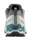 preview Women's shoes Salomon Xa Pro 3d V9 W Gull/White/Bleaaq