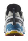 preview Salomon Xa Pro 3d V9 Gtx W Luna/Wht/Black