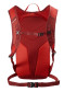 preview Salomon Trailblazer 10 Red Dahlia/High Risk Red Backpack