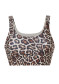 preview Goldbergh Althea Bra Jaguar