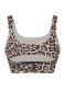 preview Goldbergh Althea Bra Jaguar