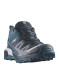 preview Salomon X Ultra 360 Gtx Carbon/Indink/Deepd