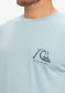 preview Quiksilver EQYZT08039-BGW0 Evo Original Bs Ss Tee