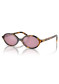 preview Miu Miu MU 04ZS VAU50D50 Sunglasses – Honey Havana/Burgundy