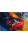 preview Gregory Targhee 32 5.0 Gemma Red