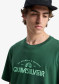 preview Quiksilver EQYZT08287-GRT0 Ev Vista