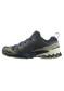 preview Salomon Xa Pro 3d V9 Indink/Olvnig/Aloewa Men's Shoes