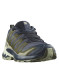 preview Salomon Xa Pro 3d V9 Indink/Olvnig/Aloewa Men's Shoes