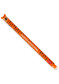 preview Legami Erasable Gel Pen - Erasable Pen - Tiger - Orange
