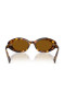 preview Miu Miu MU B09S 14L20V52 Havana, Honey/Dark Bronze Sunglasses