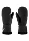 preview Zanier Lech.Stx Mitten Da