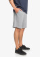preview Quiksilver men's shorts EQYFB03206-SJSH Essential short tery
