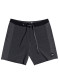 preview Quiksilver EQYBS04344-KVJ0 ARCH BEACHSHORT 18