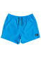preview Quiksilver EQYJV03531-BMM0 EVERYDAY VOLLEY 15