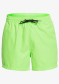 preview Quiksilver EQYJV03531-GGY0 EVERYDAY VOLLEY 15