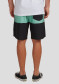 preview Men's Shorts Quiksilver EQYBS04566-GEA6 Boardshorts for Men