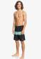 preview Men's Shorts Quiksilver EQYBS04566-GEA6 Boardshorts for Men