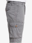 preview Men's shorts Quiksilver EQYWS03456 Crucial Battle