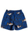 preview Quiksilver children's shorts EQKJV03156-KSH6 Sharky 12 
