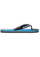 preview Children's flip-flops Quiksilver AQBL100264-XKBS Molokai Slash Fade Logo Youth
