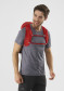 preview Backpack Salomon Xt 10 Goji Berry / Madder Brown 