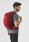 preview Salomon TRAILBLAZER 30 Red Chili/Rd Dahlia/Ebony Backpack