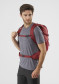 preview Salomon TRAILBLAZER 30 Red Chili/Rd Dahlia/Ebony Backpack