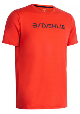 Men's T-shirt Bjorn Daehlie 332541-38701-S22 Focus M